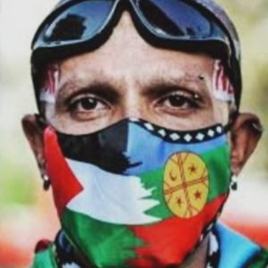 rodrigo rojas vade